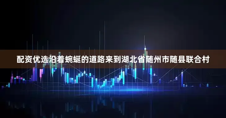 配资优选沿着蜿蜒的道路来到湖北省随州市随县联合村